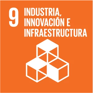 Objetivo de Desarrollo Sostenible 9