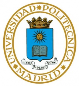 Universidad Politecnica de Madrid