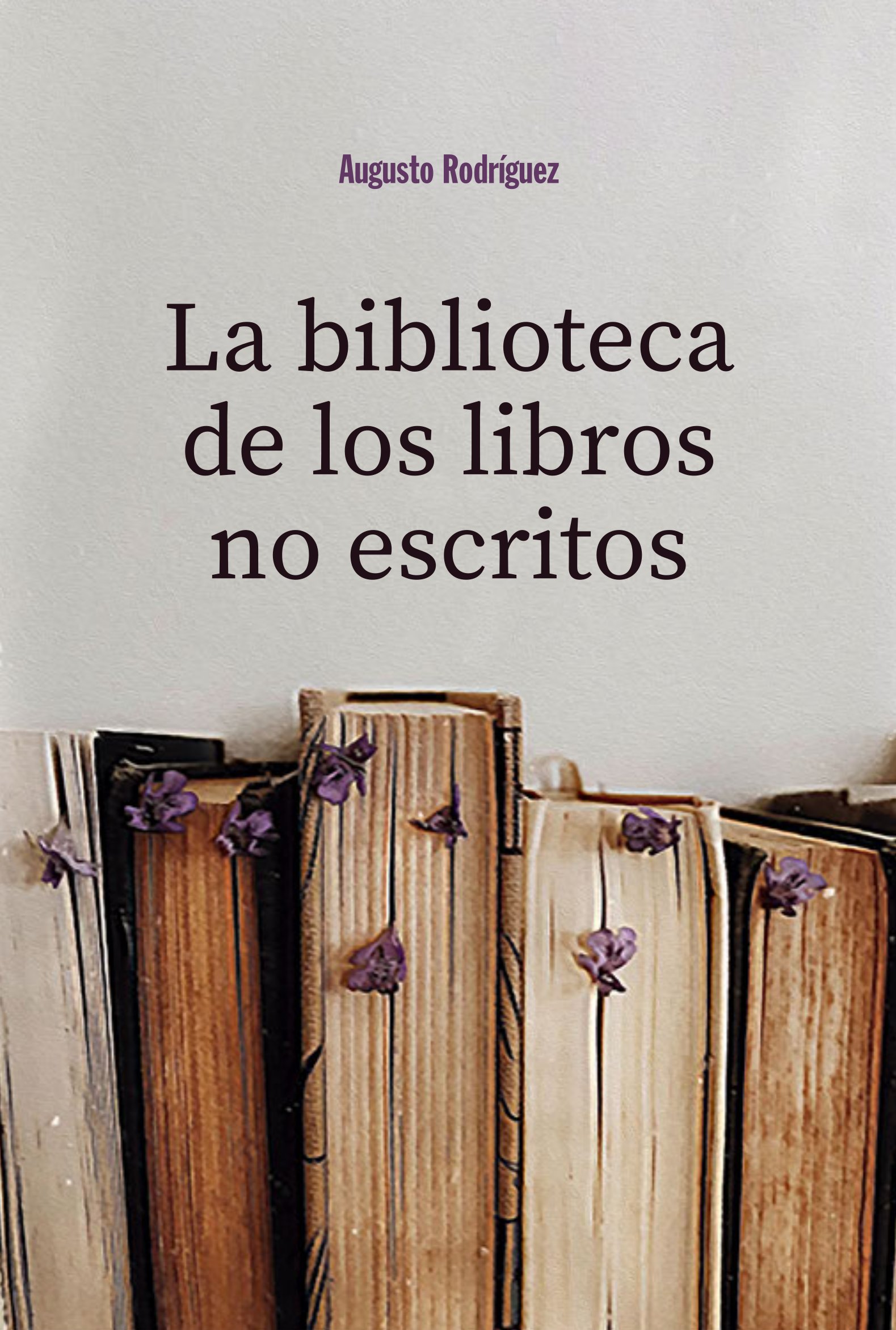 La biblioteca de los libros no escritos