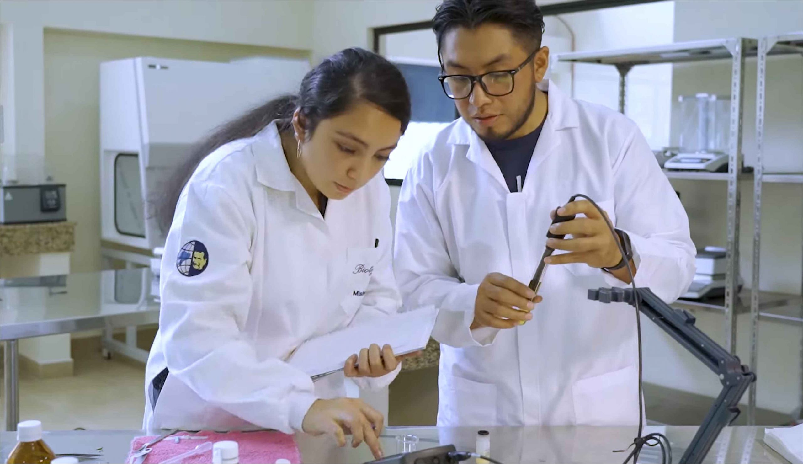17_innovacion